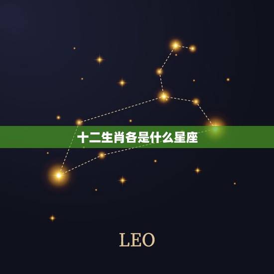 十二生肖各是什么星座，十二生肖各自的星座是什么