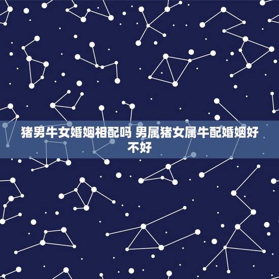 猪男牛女婚姻相配吗 男属猪女属牛配婚姻好不好