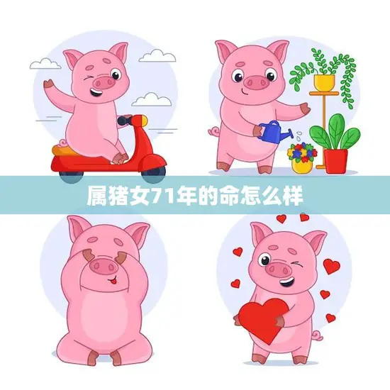 属猪女71年的命怎么样(命运如何)