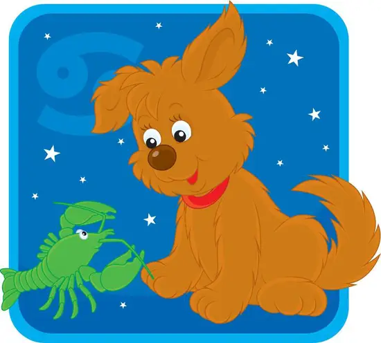 巨蟹座女喜欢什么样的礼物(独具匠心的礼物最受欢迎)