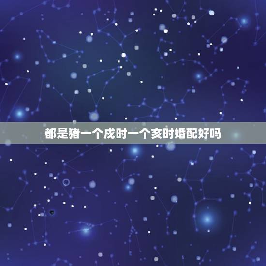 都是猪一个戍时一个亥时婚配好吗，95年属猪的婚配和什么属相最好