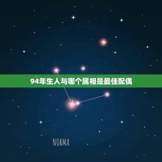 94年生人与哪个属相是最佳配偶，94年属狗女和什么属相最配