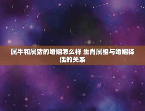 属牛和属猪的婚姻怎么样 生肖属相与婚姻择偶的关系