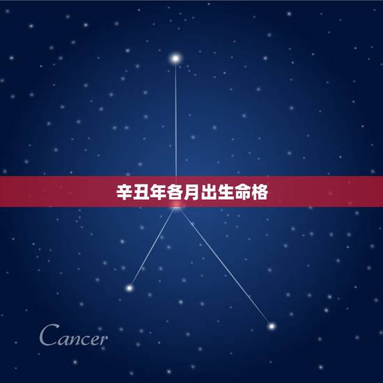 辛丑年各月出生命格，辛丑年戊戌月甲申日命如何？