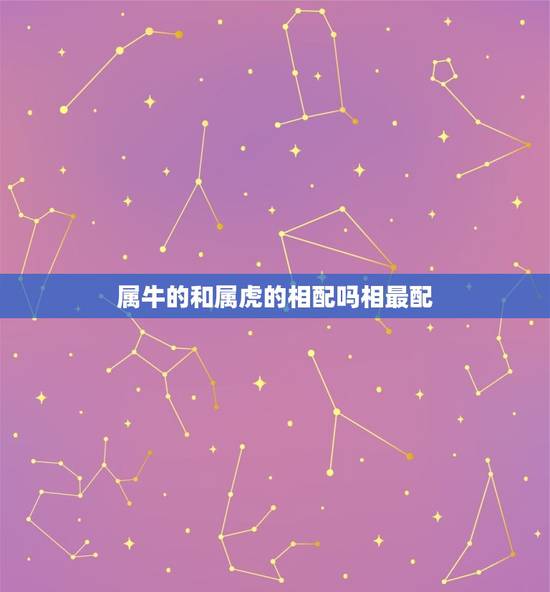属牛的和属虎的相配吗相最配，属牛男和属虎女相配吗