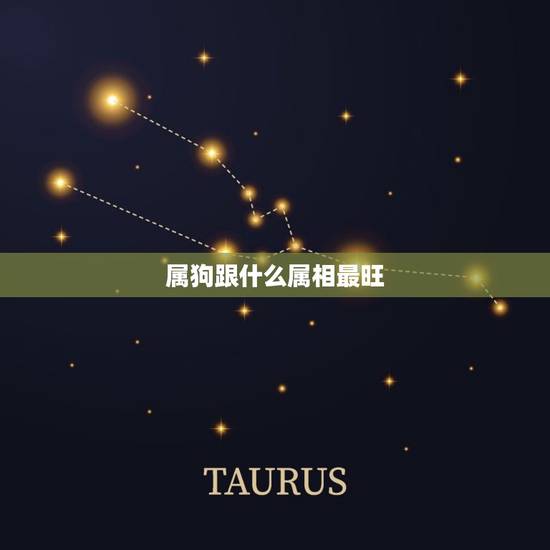 属狗跟什么属相最旺 属狗的男性和什么属相的女性最配