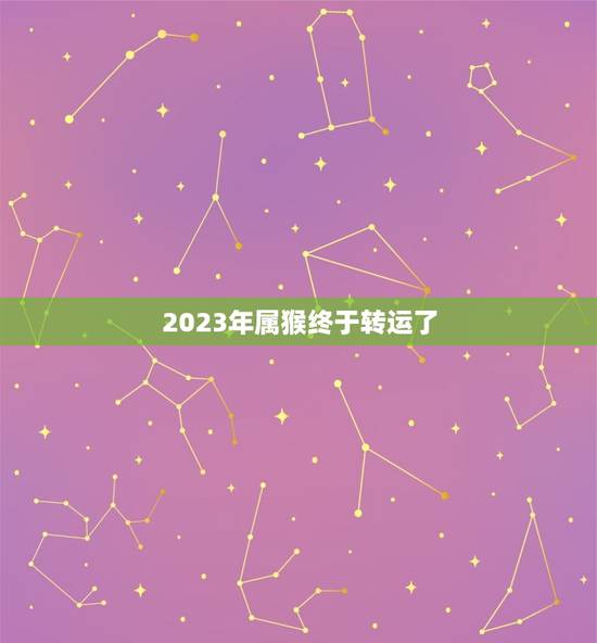 2023年属猴终于转运了，80年属猴人在2023年的全年运势