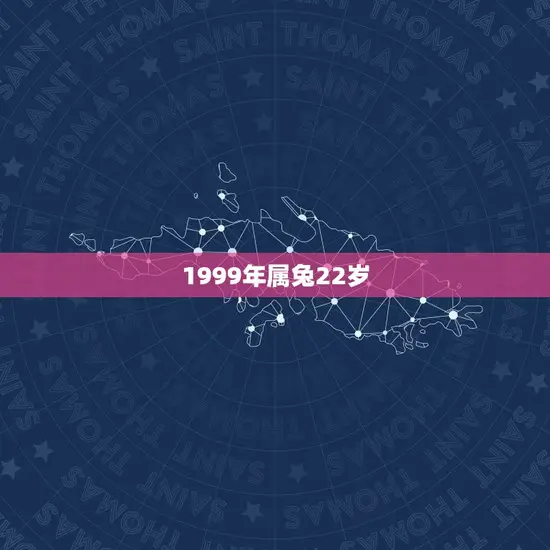 1999年属兔22岁