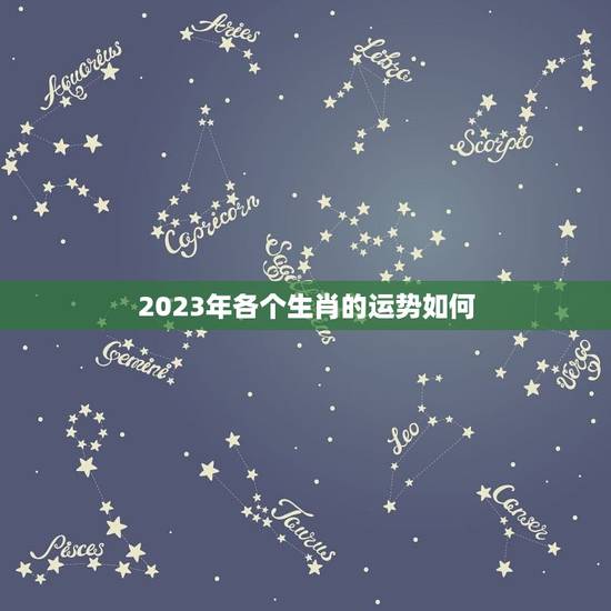 2023年各个生肖的运势如何，牛年运势2023年运势12生肖运势
