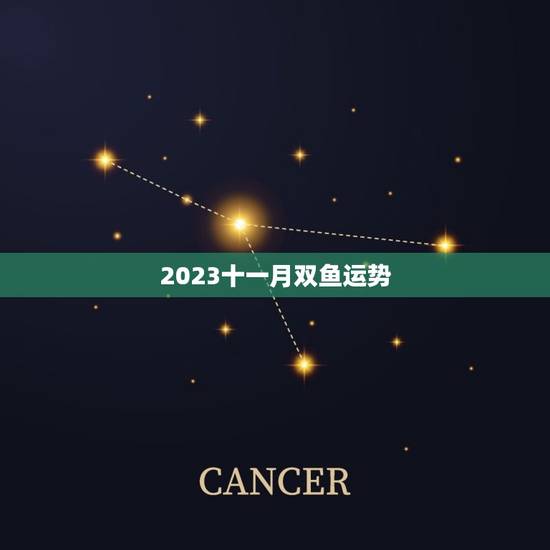 2023十一月双鱼运势