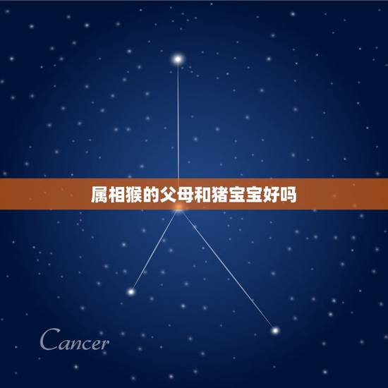 属相猴的父母和猪宝宝好吗，关于属相的问题，请问猴相父母与哪种属相的孩子