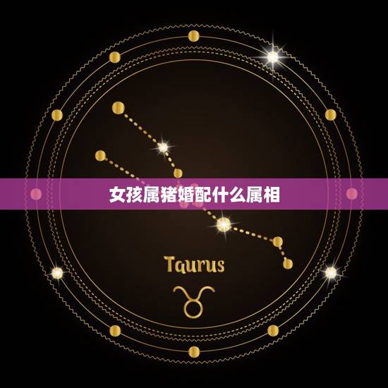 女孩属猪婚配什么属相，属猪女的跟什么属相最配