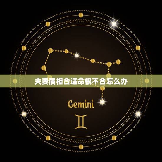 夫妻属相合适命根不合怎么办，夫妻属相相冲会怎样？要怎么化解