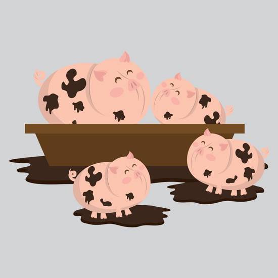 属猪下半年运势2023(财运亨通事业顺利爱情甜蜜)