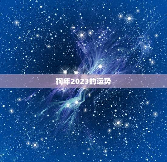 狗年2023的运势 狗年2023的运势