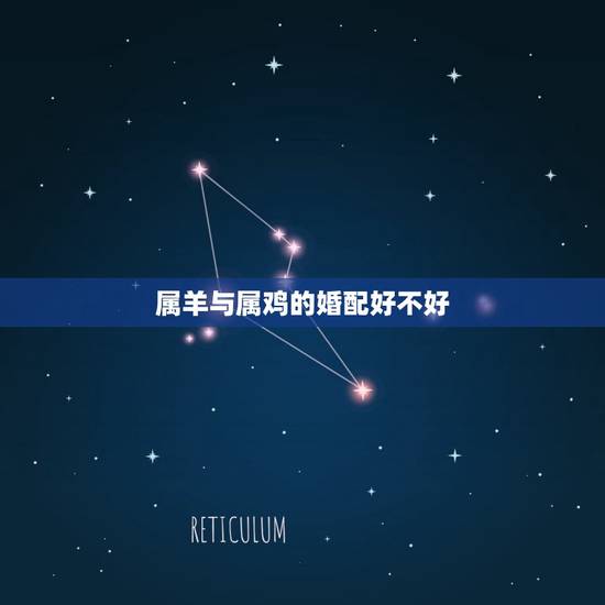 属羊与属鸡的婚配好不好，男属羊女属鸡相配好不好