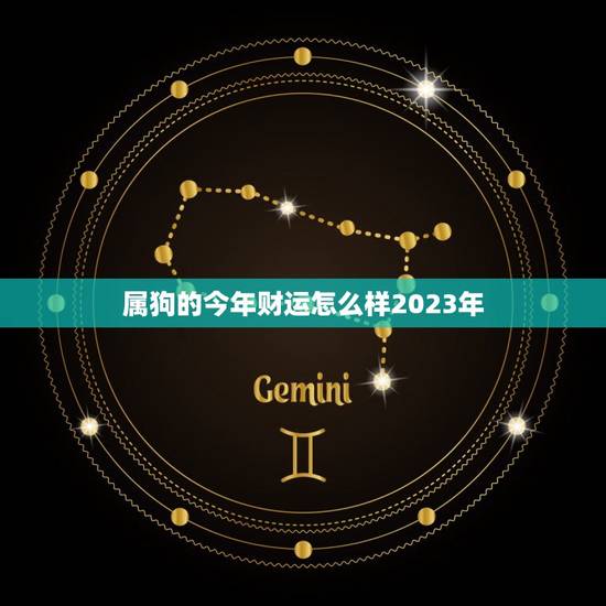 属狗的今年财运怎么样2023年(介绍财运大好还是不利)