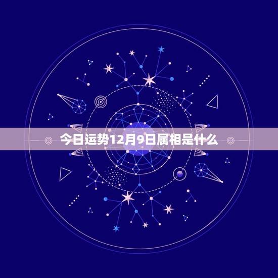 今日运势12月9日属相是什么，1975年12月出生属兔是什么星座，财运