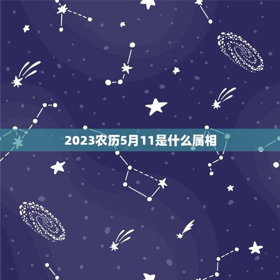 2023农历5月11是什么属相，今年属相2023属相