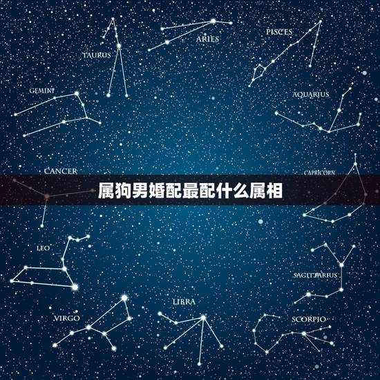 属狗男婚配最配什么属相，男属狗的和什么属相最配