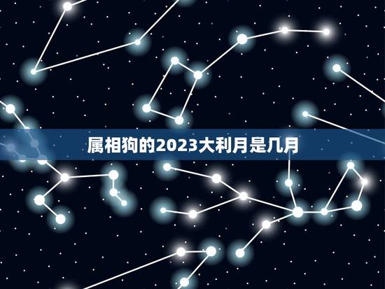 属相狗的2023大利月是几月，2023属狗的今年多大