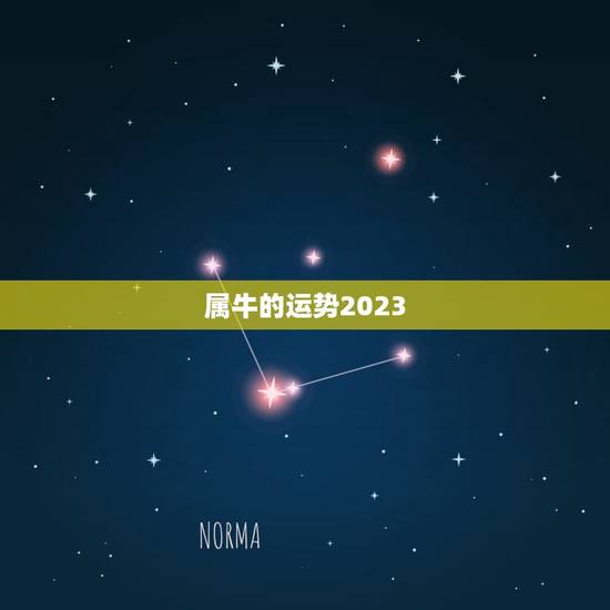 属牛的运势2023