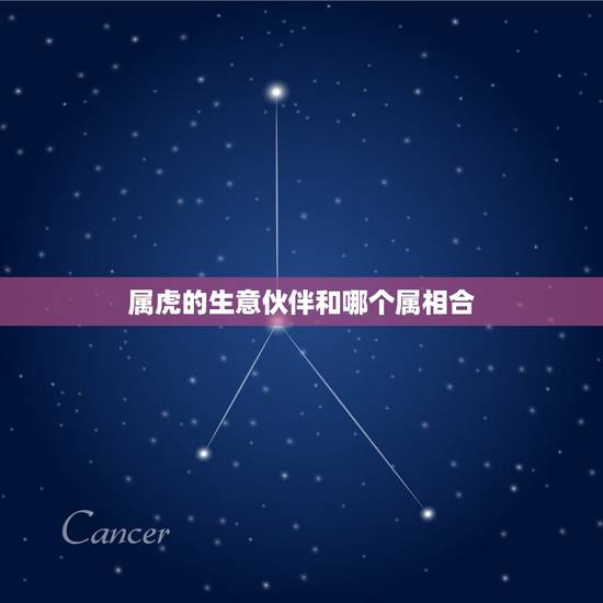 属虎的生意伙伴和哪个属相合，属虎的做生意和什么属相和