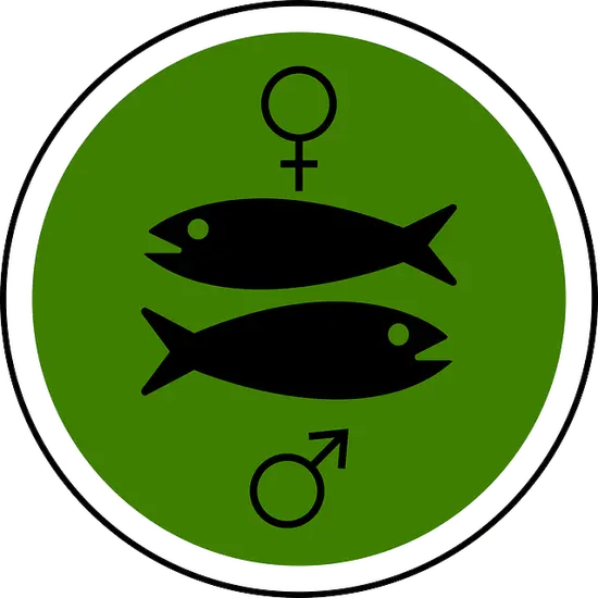 双鱼座女生什么是第一名(她们最看重的是什么)