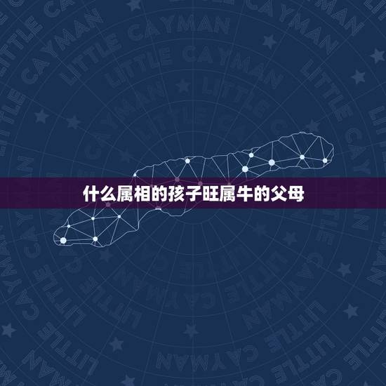 什么属相的孩子旺属牛的父母，2023年牛宝宝和什么属相的父母最好