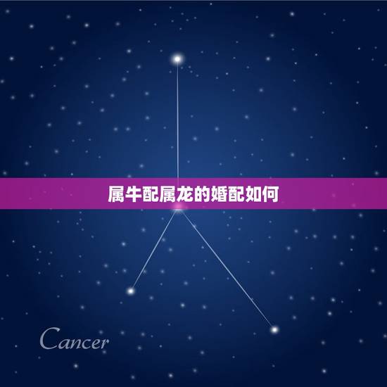 属牛配属龙的婚配如何,生肖龙与牛相配吗? 属牛配属龙的婚配如何,生肖龙与牛相配吗?