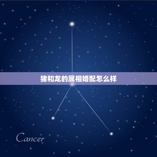 猪和龙的属相婚配怎么样，生肖龙和虎相配吗？