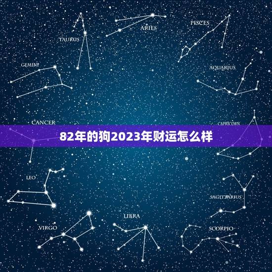 82年的狗2023年财运怎么样，82年属狗人2023年运势及运程