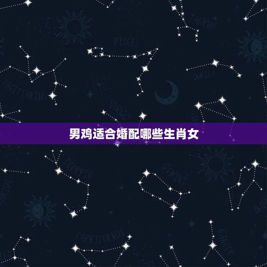 男鸡适合婚配哪些生肖女，属鸡的女生与什么属相的男生相配吗