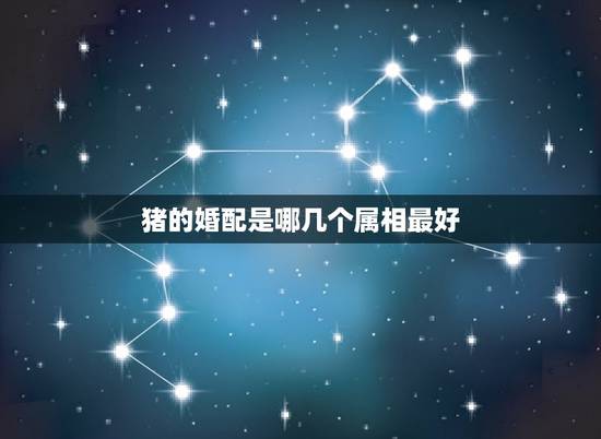 猪的婚配是哪几个属相最好，属猪的和哪些属相最相配