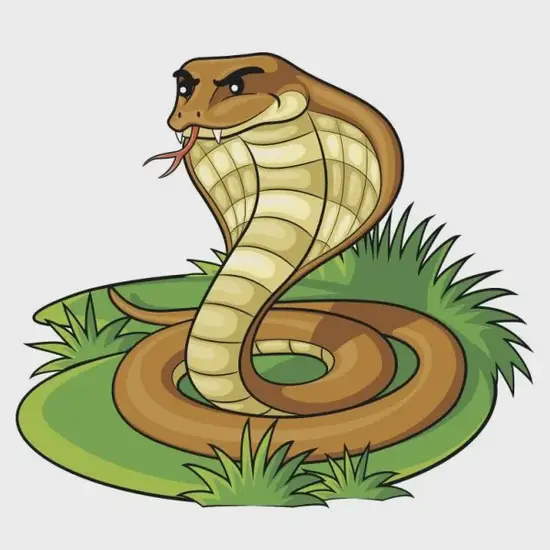 生肖蛇无牙生存智慧示意图