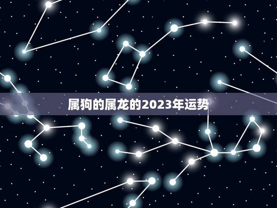 属狗的属龙的2023年运势
