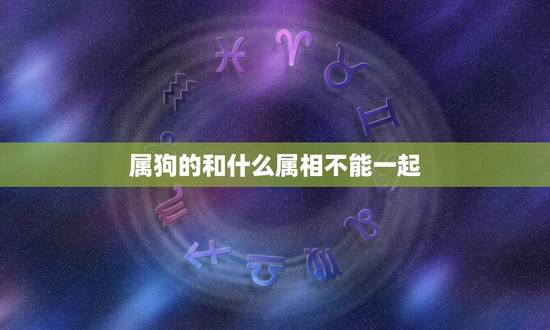 属狗的和什么属相不能一起，今年属狗的人不能和什么属相的人打交道