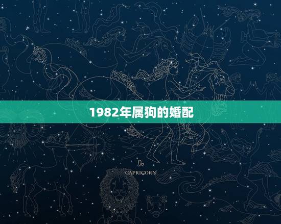 1982年属狗的婚配，1982年属狗的男生和什么属相最配