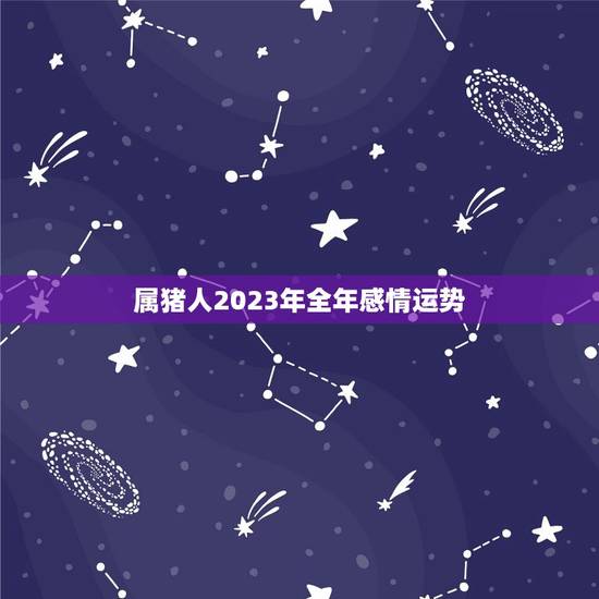 属猪人2023年全年感情运势 女性，癸巳日柱男命终身命运
