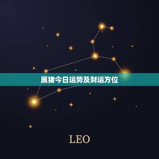 属猪今日运势及财运方位,属猪今日运势每日更新内容 属猪今日运势及财运方位,属猪今日运势每日更新内容