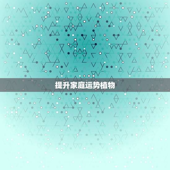 提升家庭运势植物，提升家庭运势 植物