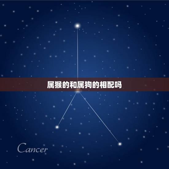 属猴的和属狗的相配吗，属猴的和属狗的能在一起吗？