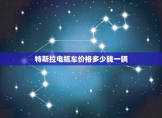 特斯拉电瓶车价格多少钱一辆，特斯拉电瓶车价格多少钱一辆新车