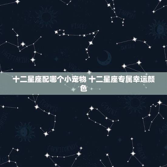 十二星座配哪个小宠物 十二星座专属幸运颜色 十二星座配哪个小宠物 十二星座专属幸运颜色