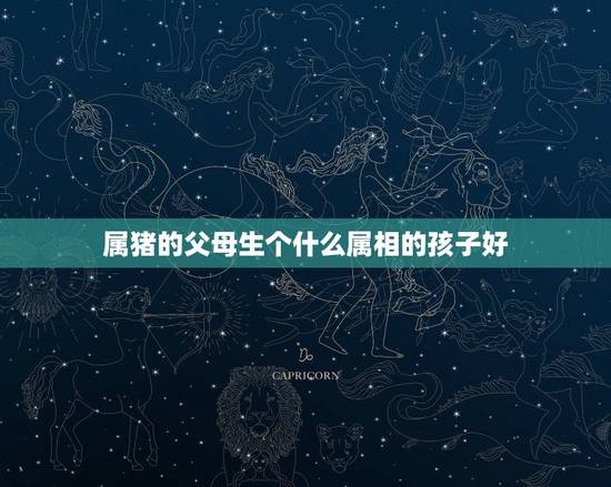 属猪的父母生个什么属相的孩子好,我属兔,老公属猪,生个什么属相的孩子好 属猪的父母生个什么属相的孩子好,我属兔,老公属猪,生个什么属相的孩子好