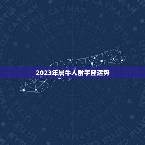 2023年属牛人射手座运势