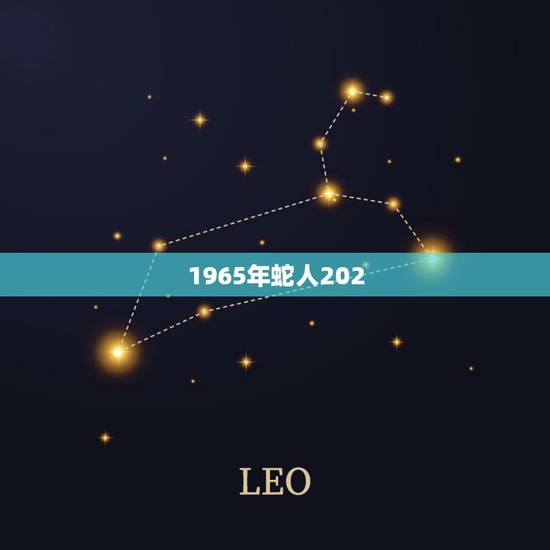 1965年蛇人202 1年运势运程