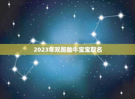 2023年双胞胎牛宝宝取名，2023牛宝宝取名宜用字