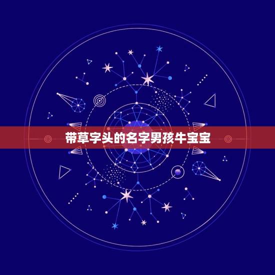 带草字头的名字男孩牛宝宝，带草字头的牛宝宝取名