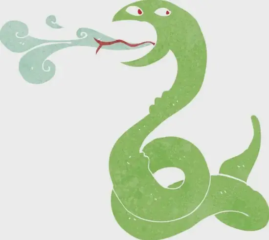 属蛇今日财运解析